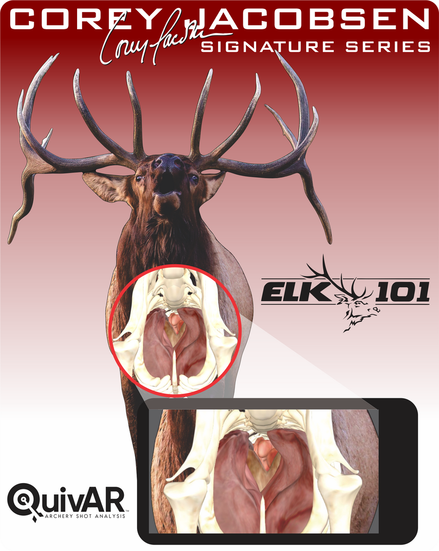 Elk101 Signature Series Bull Elk 2D Archery Target (by Deadnuts Outdoors)