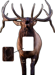 Elk101 Signature Series Bull Elk 2D Archery Target (by Deadnuts Outdoors)