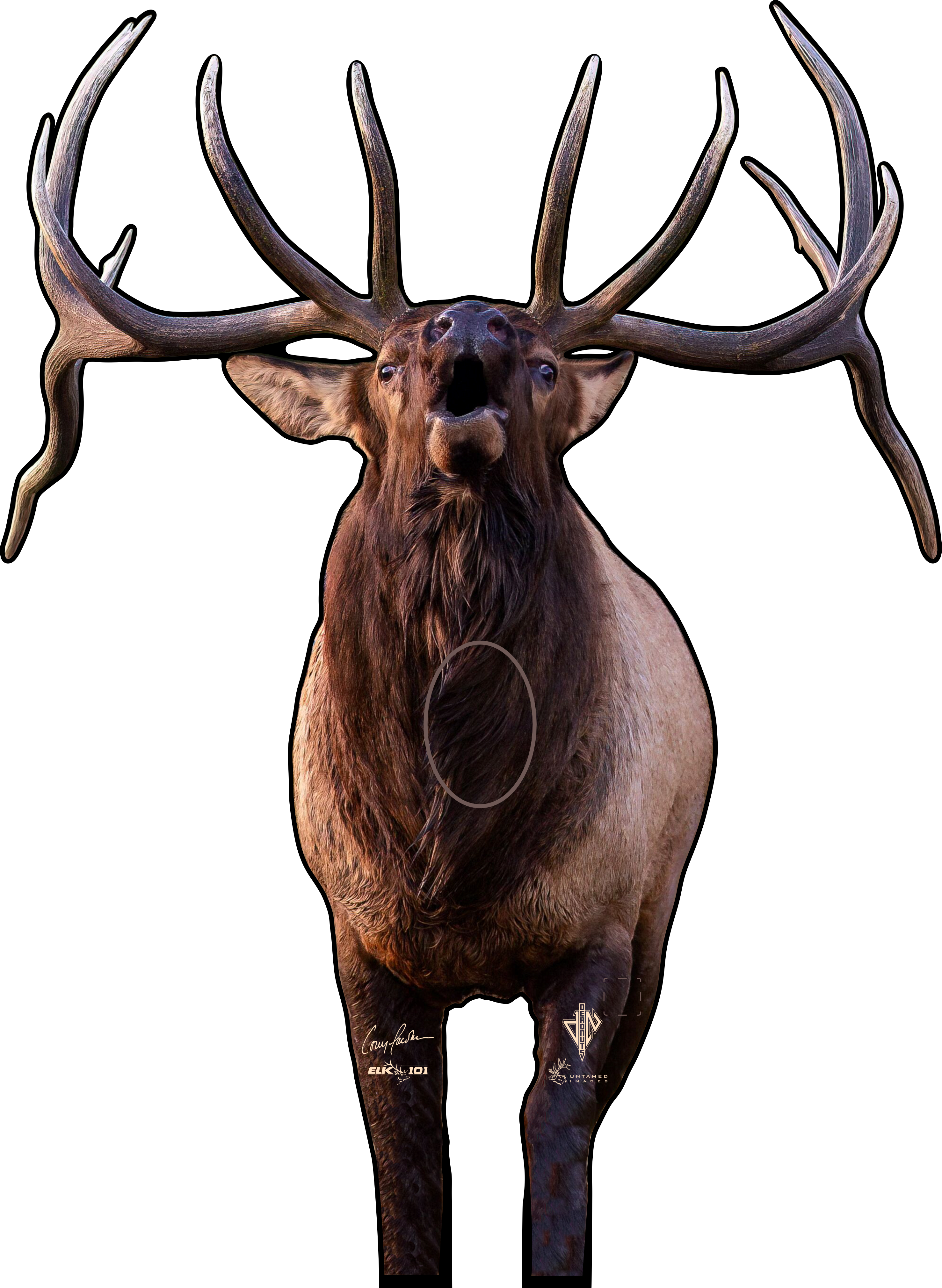 Elk101 Signature Series Bull Elk 2D Archery Target (by Deadnuts Outdoors)