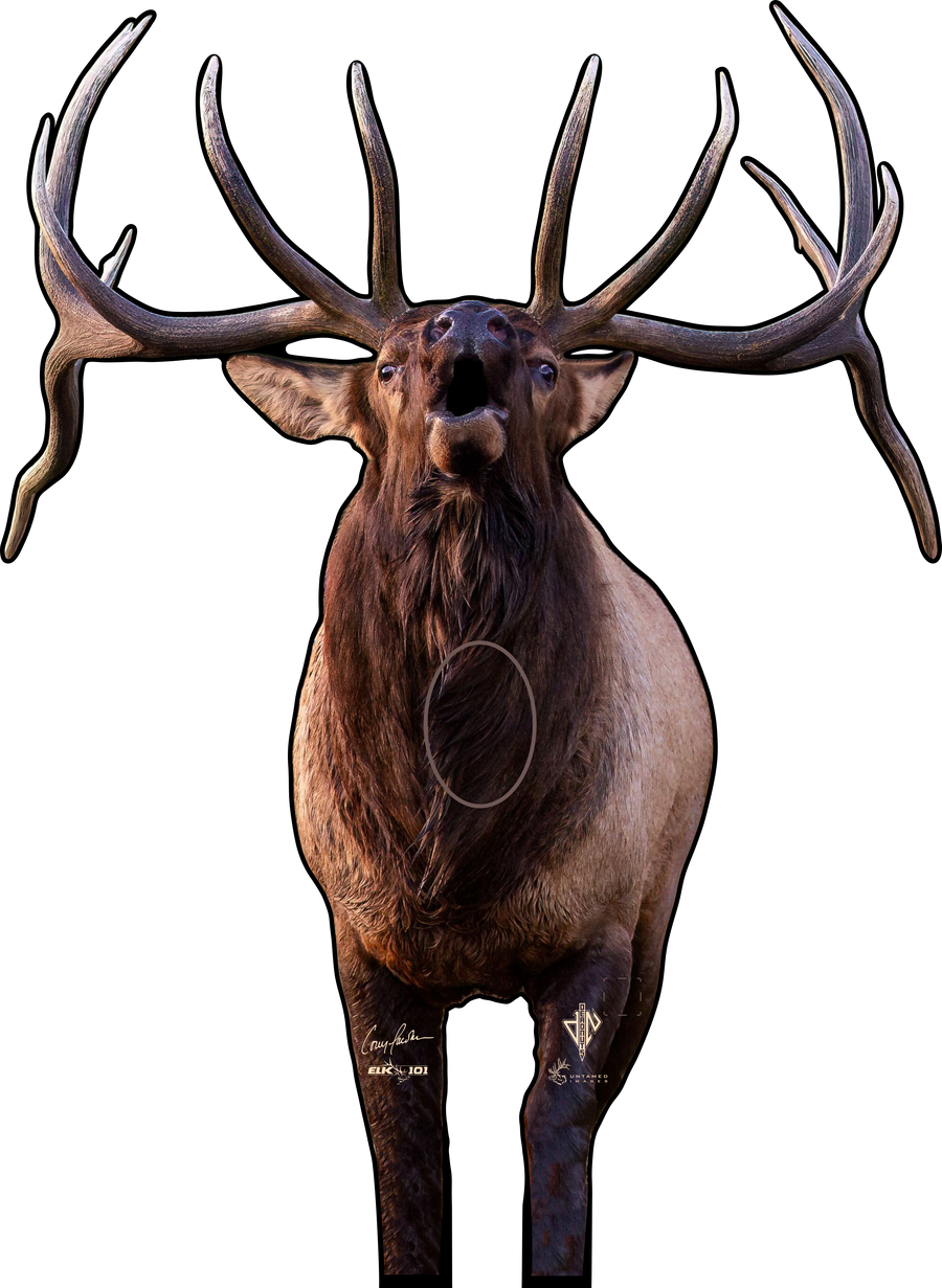 Elk101 Signature Series Bull Elk 2D Archery Target (by Deadnuts Outdoors)